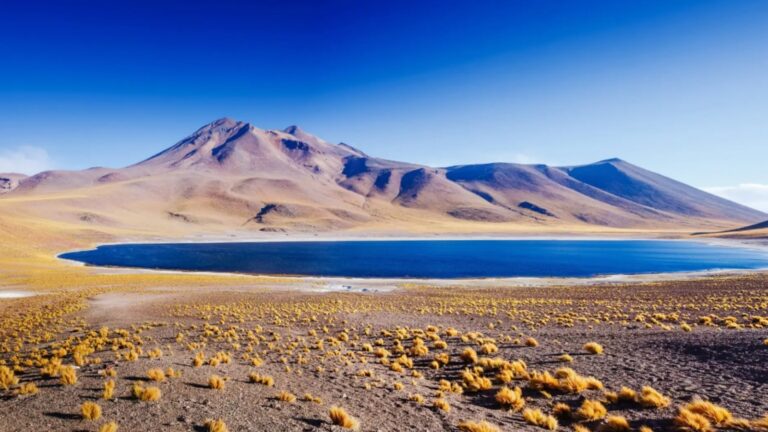 Atacama Desert Escape