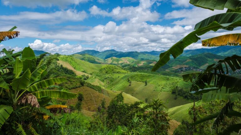 El Encanto de la Selva